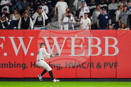 ALDS Blue Jays Yankees Baseball