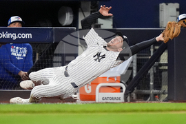 ALDS Blue Jays Yankees Baseball