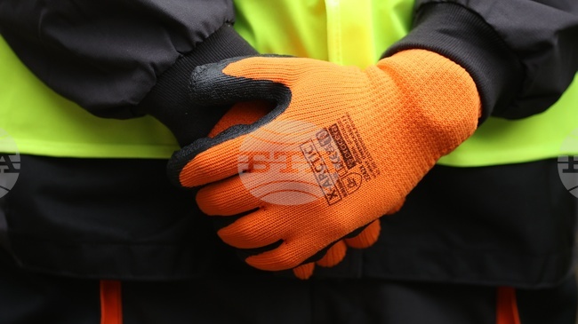 Employment Agency Reports Unemployment at 5.4% in January 2026