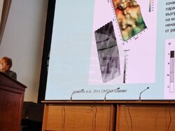 Учени и млади изследователи от България и чужбина участваха в 12-ата национална геофизична конференция в БАН. Снимка: Личен архив на доц. Петя Трифонова от Националния институт по геофизика, геодезия и география при БАН