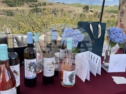 Снимка: Община Сандански