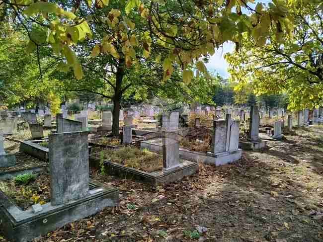 Акция по почистване на Централния гробищен парк организират в Кърджали