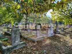 Кърджали - гробищен парк - акция