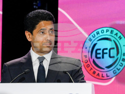 Italy Soccer EFC General Assembly