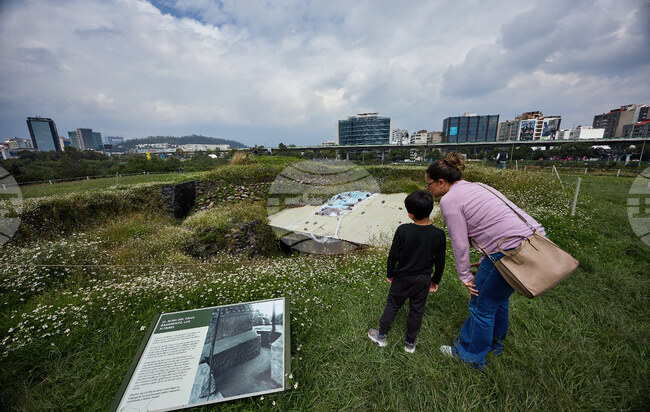 Mexico Archeological Tours
