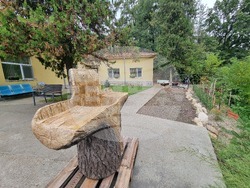 Твърдица - социални домове - годишнина