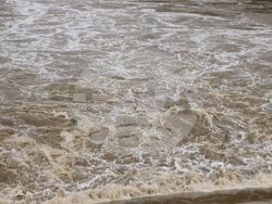 Снимка: Областна администрация Русе 