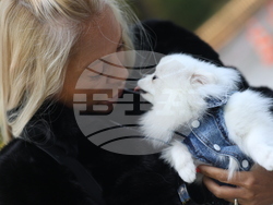 Дворец Врана - парти с кауза „Сърце на 4 лапи“