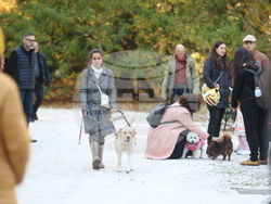 Дворец Врана - парти с кауза „Сърце на 4 лапи“