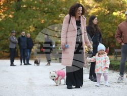 Дворец Врана - парти с кауза „Сърце на 4 лапи“