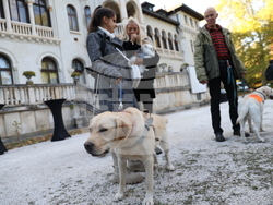 Дворец Врана - парти с кауза „Сърце на 4 лапи“