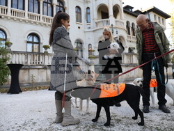 Дворец Врана - парти с кауза „Сърце на 4 лапи“