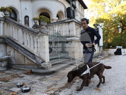 Дворец Врана - парти с кауза „Сърце на 4 лапи“