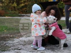 Дворец Врана - парти с кауза „Сърце на 4 лапи“