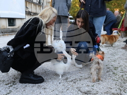 Дворец Врана - парти с кауза „Сърце на 4 лапи“