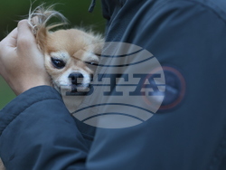 Дворец Врана - парти с кауза „Сърце на 4 лапи“