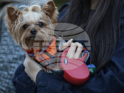 Дворец Врана - парти с кауза „Сърце на 4 лапи“