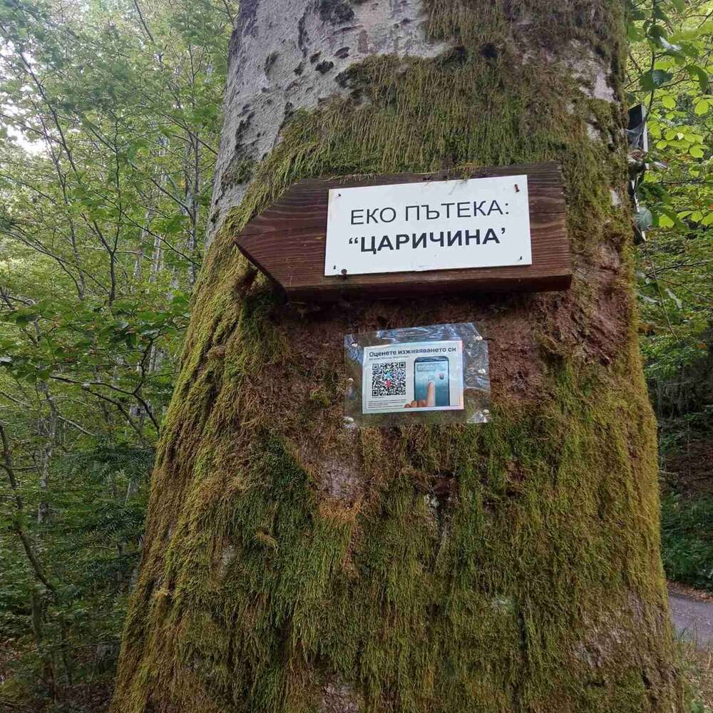 Системата kazva.bg за бърза и анонимна обратна връзка от гражданите е въвдена в община Тетевен