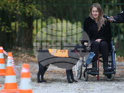 Дворец Врана - парти с кауза „Сърце на 4 лапи“