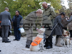 Дворец Врана - парти с кауза „Сърце на 4 лапи“