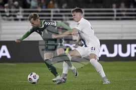 Finland Lithuania WCup Soccer Qualifier