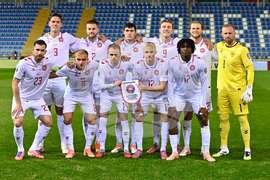 Hungary Belarus Denmark WCup Soccer