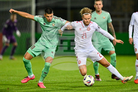 Belarus Denmark WCup Soccer