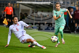 Belarus Denmark WCup Soccer