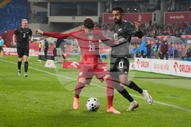 Poland New Zealand Soccer