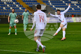 Belarus Denmark WCup Soccer