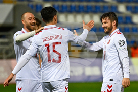 Belarus Denmark WCup Soccer