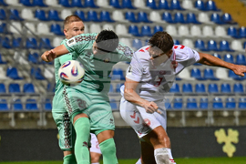 Belarus Denmark WCup Soccer