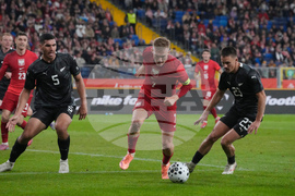 Poland New Zealand Soccer