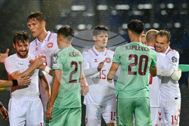 Belarus Denmark WCup Soccer