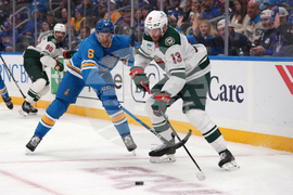 Wild Blues Hockey