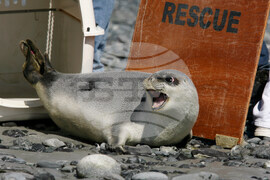 Climate Threatened Species