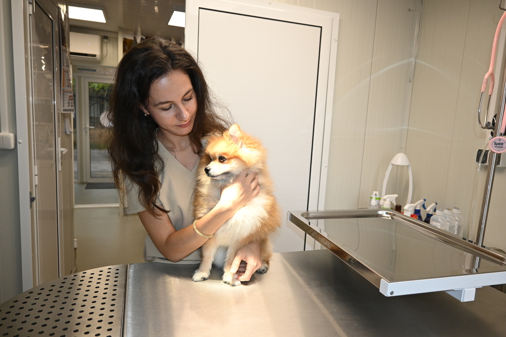 Пътят на младия ветеринарен лекар: между предизвикателствата на общата практика и стремежа към специализация