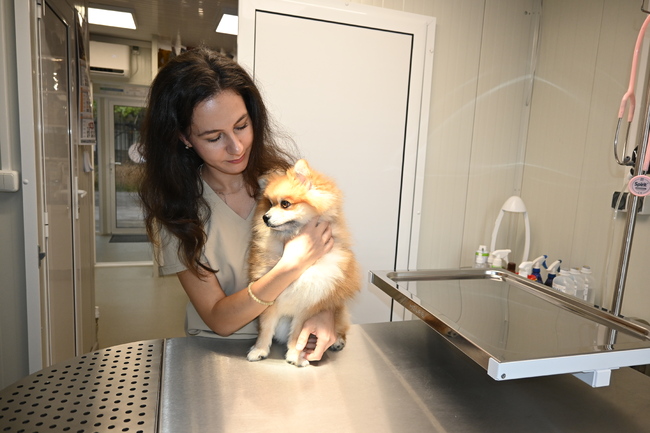 Пътят на младия ветеринарен лекар: между предизвикателствата на общата практика и стремежа към специализация