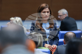 Народно събрание - заседание