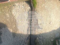 Снимка: Областна администрация Русе 