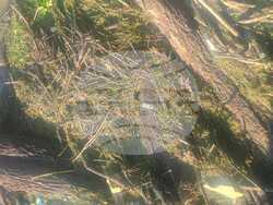 Снимка: Областна администрация Русе 