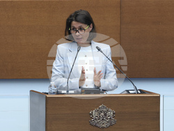 Народно събрание - парламентарен контрол