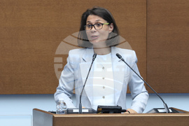 Народно събрание - парламентарен контрол