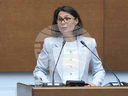 Народно събрание - парламентарен контрол