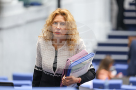Народно събрание - парламентарен контрол