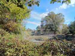 Пловдив - Областен управител - проверка 