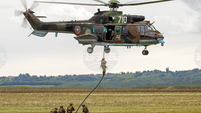 Government Approves Report on State of Defence and Bulgarian Armed Forces for 2025