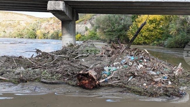 Проверка на водоемите в Русенско е констатирала обрасли брегове и непочистени речни корита