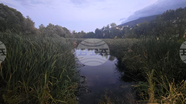 Граждани протестират пред административната сграда на район "Витоша" срещу строителството до Боянското блато и унищожаване на речното му корито 