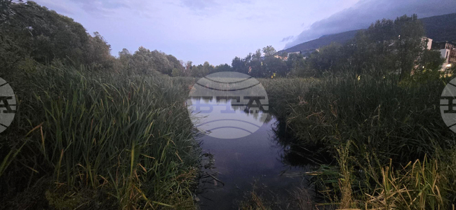 Sofianites Protest Real Estate Projects Threatening Sofia's Boyana Marsh